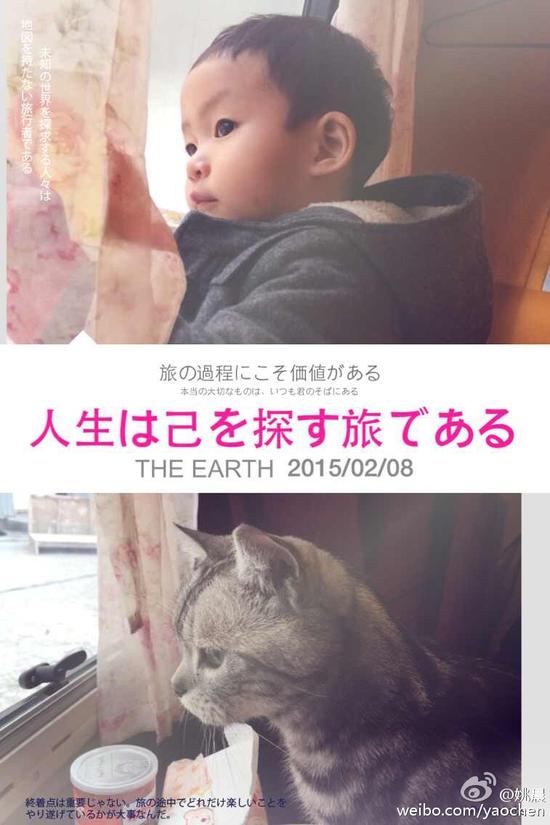 小土豆和姚晨爱猫八顿神同步