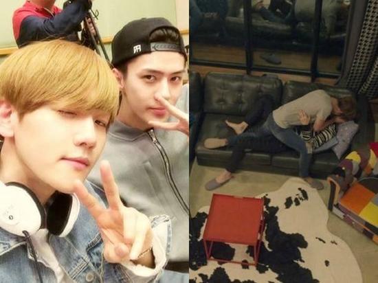 基情四射exo伯贤压倒世勋男男壁咚