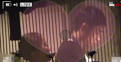 魏晨与女友被拍