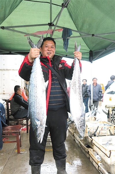 2015沙子口鲅鱼节开幕 今年鲅鱼价与去年持平 _新浪青岛_新浪网