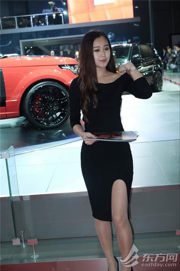 上海车展美女销售多是车盲