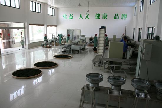 宜兴打造"阳羡茶"区域公共品牌 壮大产业集群