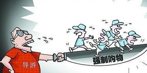 骂客事件涉事导游被吊销证件