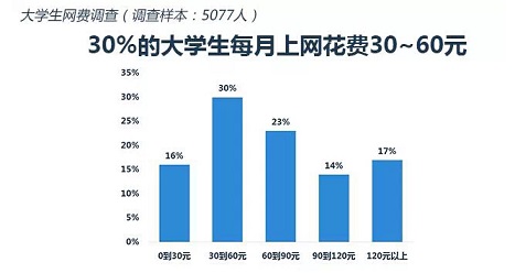 30%的大学生每月上网花费30~60元