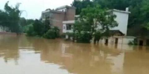 赣南现50年一遇洪水 多条河流汛情告急