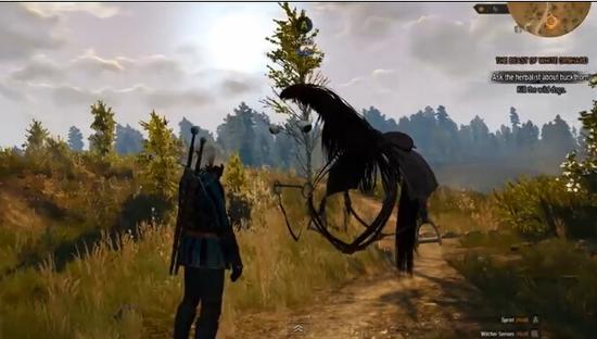 得知主人杰洛特声名在外后，傲娇的萝葡愤怒地变成了隐身马。