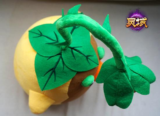 图4 小山鸡俯视图