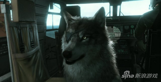 合金装备5 幻痛