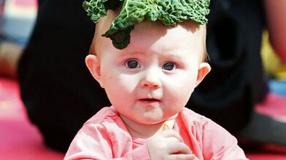 世界最大断奶仪式