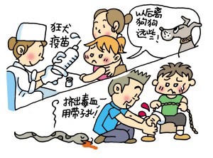 儿童最易发生的12种安全事故--动物咬伤
