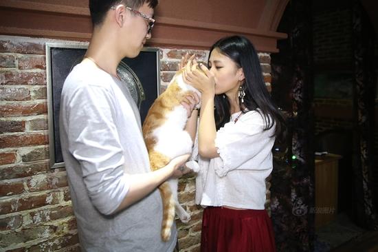 妮妮、粉丝与猫