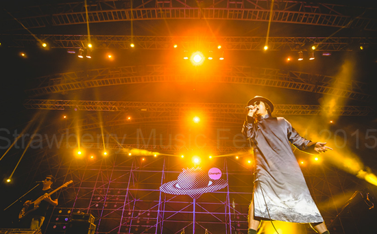 左小祖咒（忍花草 摄）