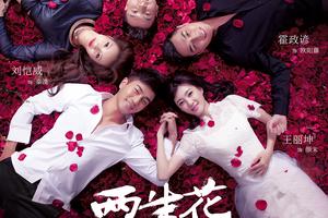 李行亮献唱电视剧《两生花》主题曲|李行亮|主题曲|两生花_新浪娱乐_新浪网
