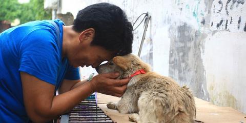 爱狗人士呼吁抵制玉林狗肉节