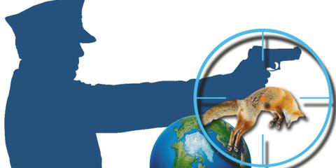 揭秘猎狐团队:平均年龄30岁