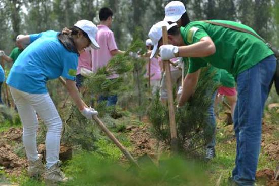 将环保进行到底  一汽丰田“绿盟”植树活动再添新绿