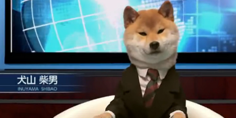 靠身材颜值引人关注的性感主播