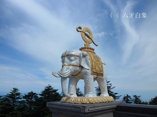 佛学入门 正文 普贤菩萨骑灵牙仙六牙白象,是表菩萨之大慈力.