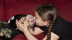 女孩与野生动物的亲密照