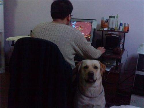 中国好女友!美女卖激活码“包养”废柴男友