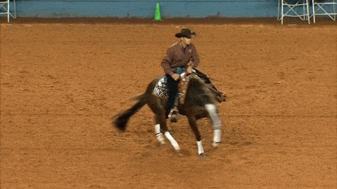 西部牛仔文化所体现的西部精神不仅构成了美国精神,也象征着张扬