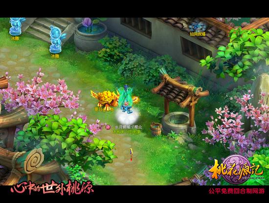 图二 夏日金钱龟