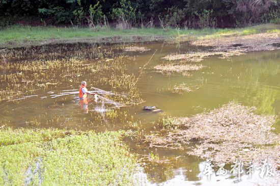 站在水里用高压电捕鱼器遂宁男子触电溺水身亡