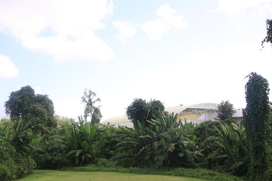 普吉岛地处热带，植被茂盛，图为酒店房间外草坪，阳光、草地、鲜氧、蓝天，足让人慵懒地待上一下午。