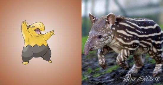 《口袋妖怪》中精灵的现实原型