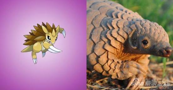 《口袋妖怪》中精灵的现实原型