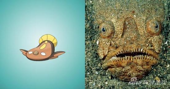 《口袋妖怪》中精灵的现实原型