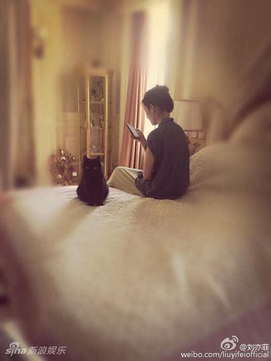 刘亦菲温馨闺房曝光背影素雅小黑猫抢镜