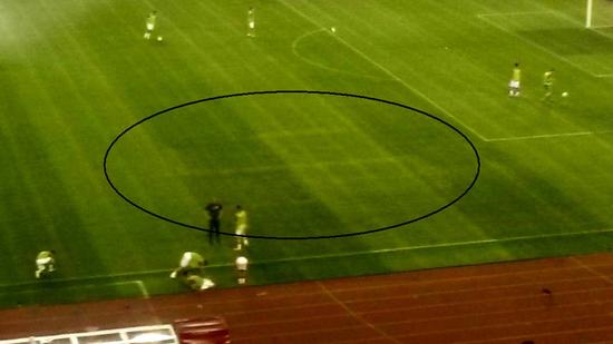 球场上的纳粹标识