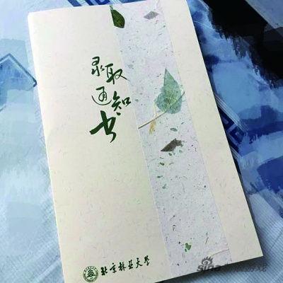 北京林业大学的通知书贴着树叶标本