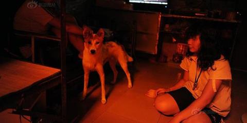 东莞保安之女遭轮奸并未出走