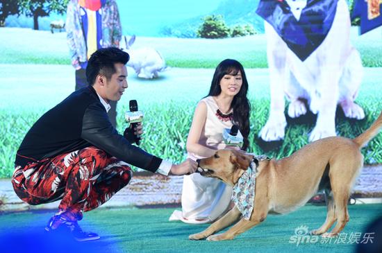 金世佳和“小七”玩耍