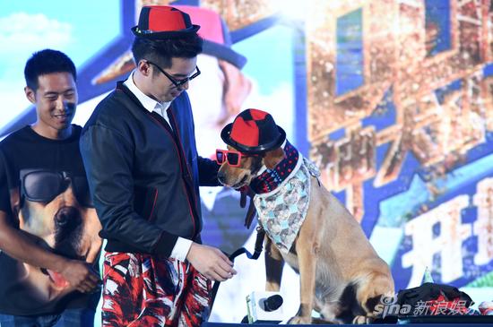 金世佳为狗狗装扮