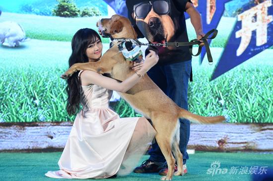 郭碧婷和“小七”拥抱