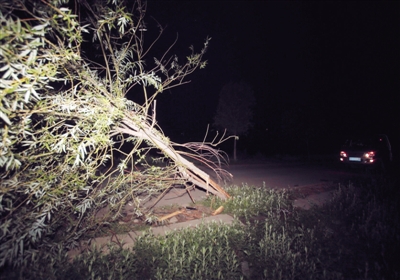 6日晚，密云县发生一起城管执法车与电动三轮车相撞事故，已造成4名孩子2死2伤。车祸现场路旁，一棵行道树已经被撞歪并裂开。
