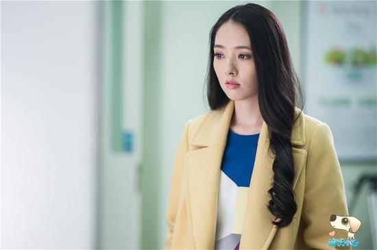 《神犬小七》今开播 郭碧婷毒舌狗狗抢戏