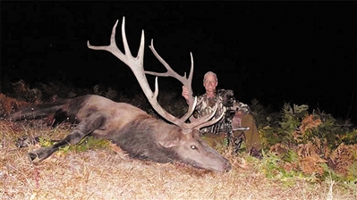 帕尔默在加利福尼亚猎杀麋鹿。