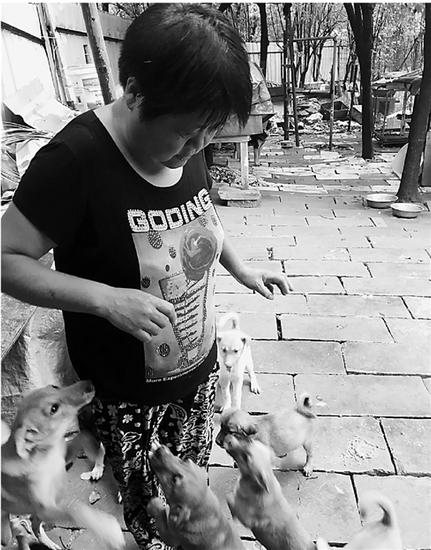 钱阿姨与她收养的猫狗