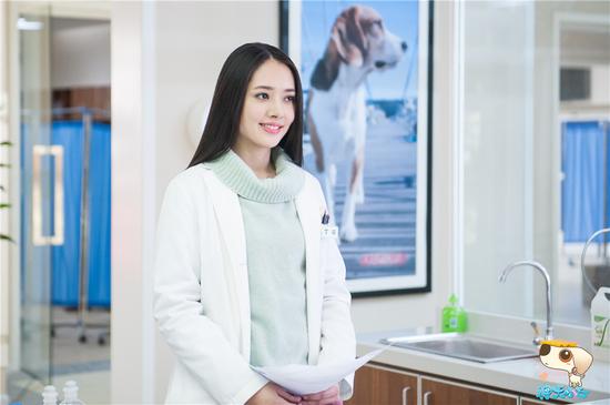 吴玉江担任制片人,"神犬"系列电视剧第二部,拉布拉多犬小七,郭碧婷