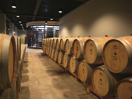 酒庄酒究竟是什么?这篇文章说透了!