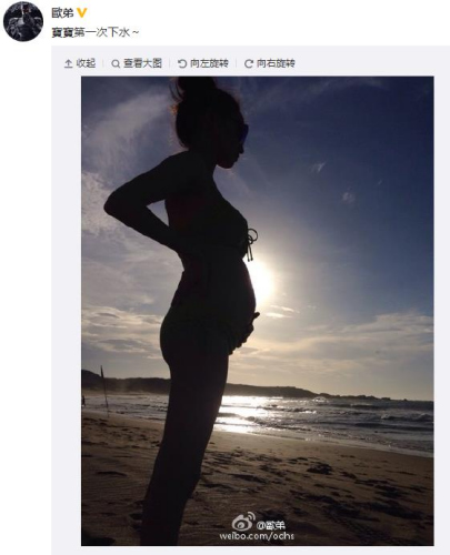 盘点女星孕照:贾静雯温馨 昆凌帅酷(图)