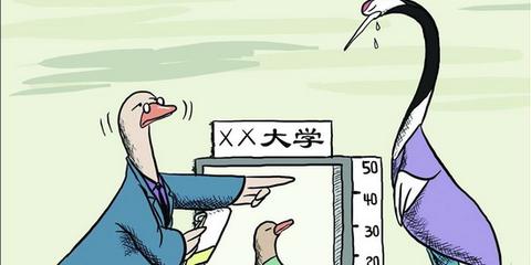 盘点2015年各地高考落榜状元