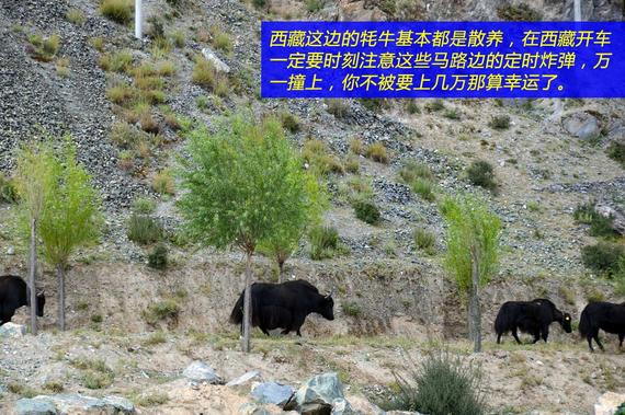 与帕杰罗一起 在那曲来一场秘境之旅