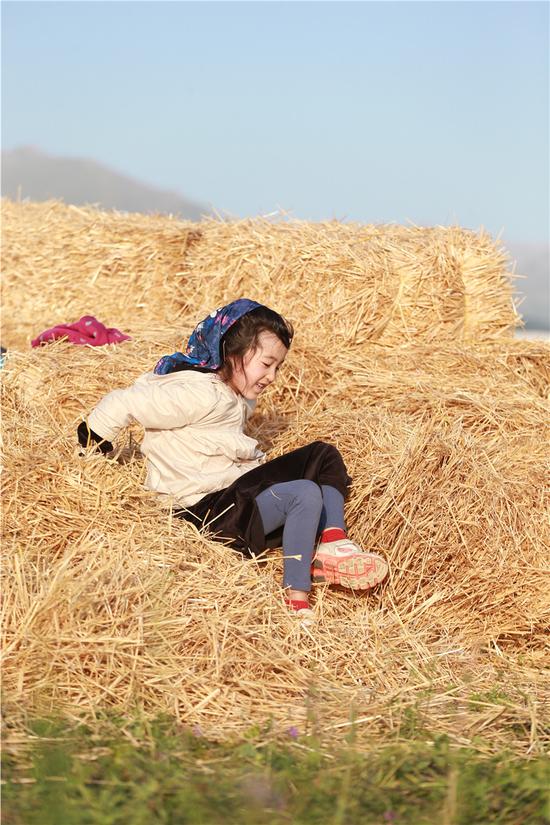 爸爸3夏克立夏天睡草堆深夜卧谈生死离别