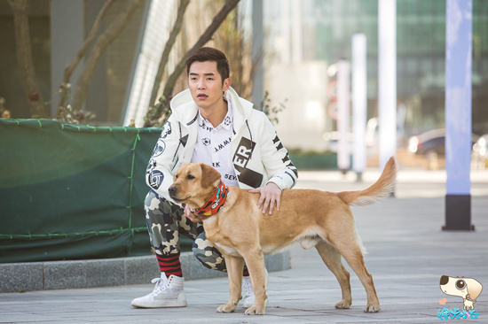 《神犬》金世佳连轴变身 爱情事业双成长|金世佳|神犬小七|郭碧婷