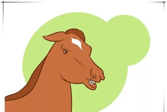 当马的耳朵平平地向后时(如下图),他们通常是在表现愤怒,让人或者其他